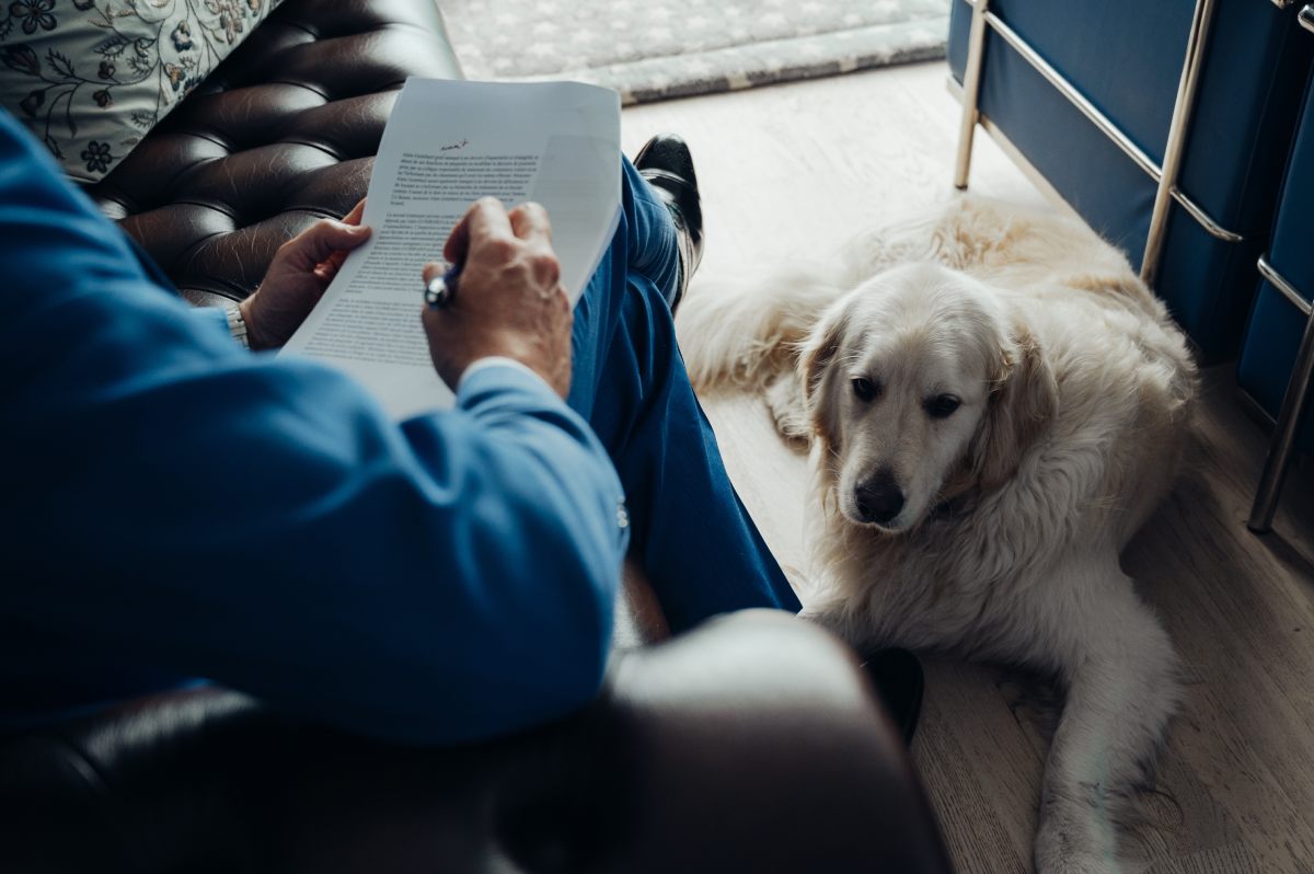 Cabinet d'avocats en droit routier